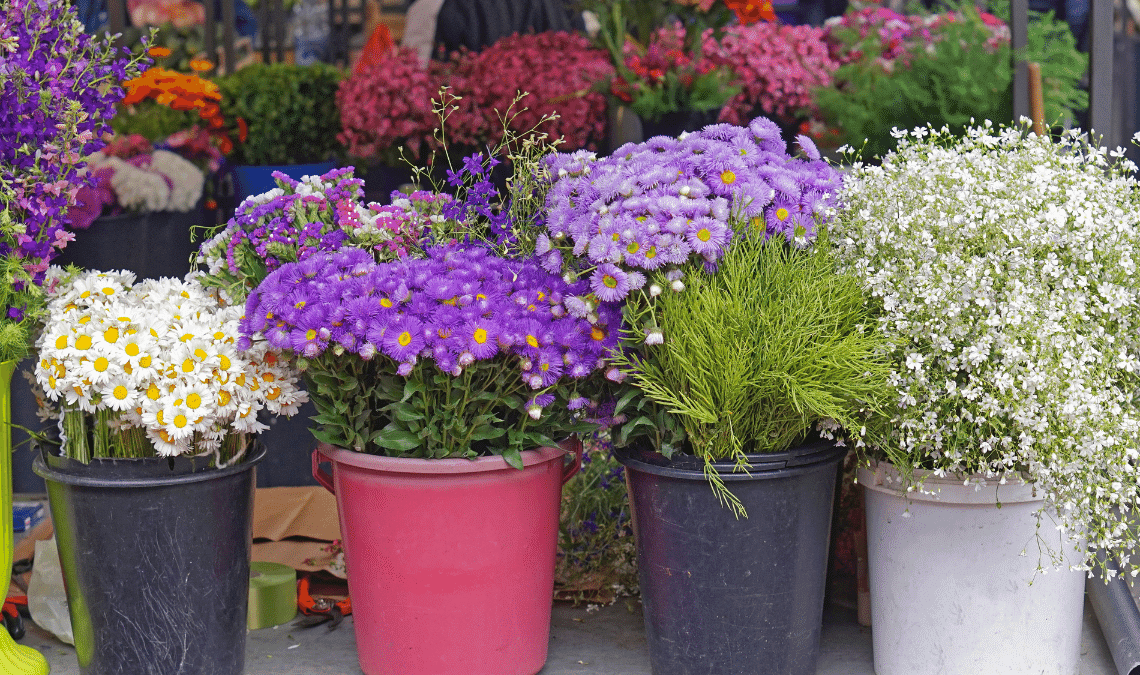 3 Tradisi Yang erat Kaitanya Dengan Bunga