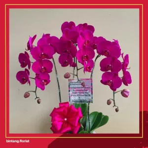 Toko Bunga Online Jakarta Pusat