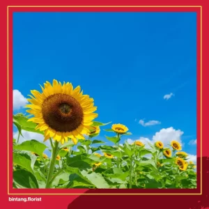 Toko Bunga Di Surabaya Timur