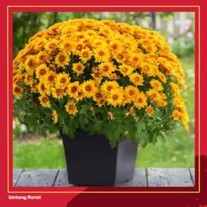 Toko Bunga Di Surabaya Timur