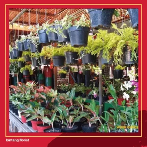 Jual Bunga Segar Harian untuk Keperluan Acara di Malang