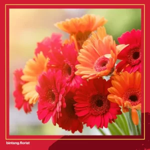 Toko Bunga Di Surabaya Timur | 15 Jenis Bunga yang Menjadi Simbol Persahabatan