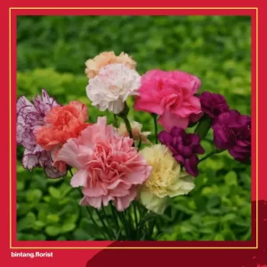 Toko Bunga Di Surabaya Timur | 15 Jenis Bunga yang Menjadi Simbol Persahabatan