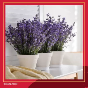 Toko Bunga Di Surabaya Timur | 15 Jenis Bunga yang Menjadi Simbol Persahabatan