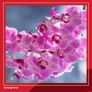 Toko Bunga Di Surabaya Timur